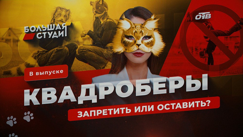 Квадроберы: безобидный тренд или реальная опасность?