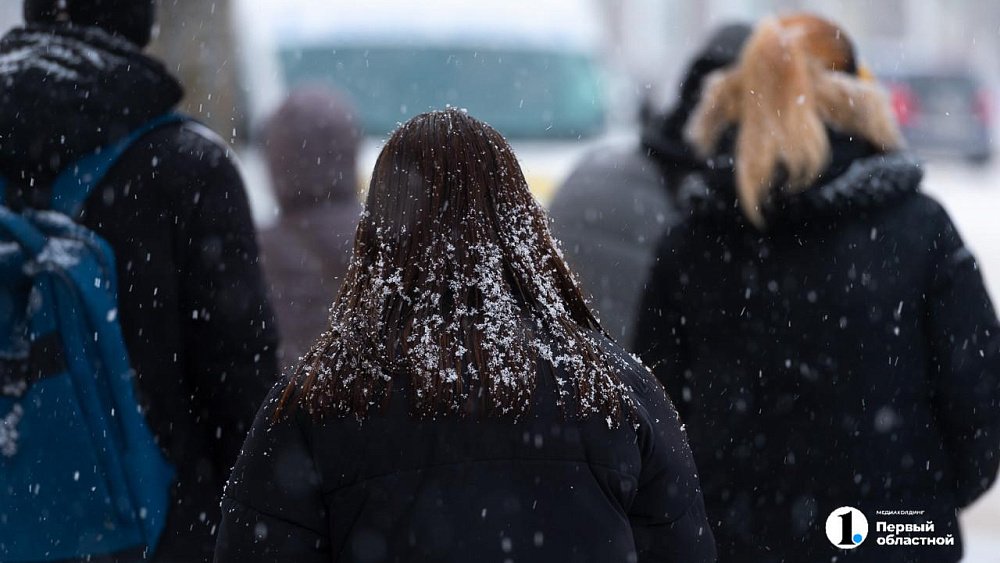 Метели, гололед и плюсовые температуры обещают в Челябинской области 9 ноября