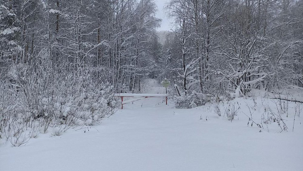 На Зигальге снега намело по пояс за два дня