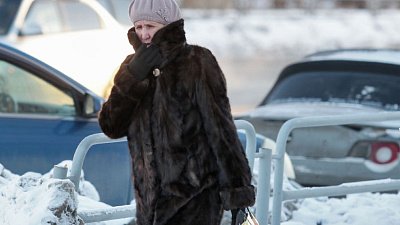 В Челябинске вырос спрос на химчистку шуб в 4 раза
