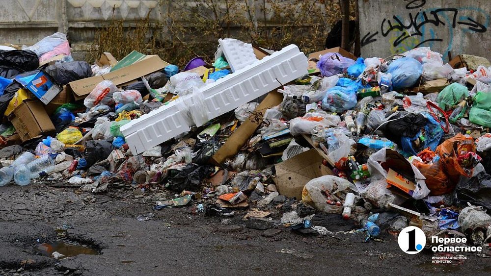 Врио мэра Челябинска призывает установить соцрекламу, направленную на чистоту улиц