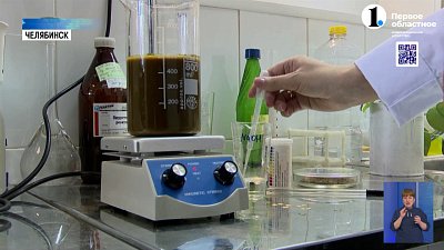 Ученые ЮУрГУ разработали полезные чипсы из рапса