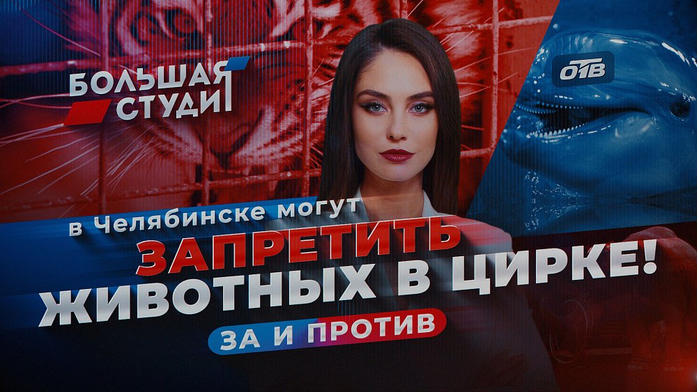 На Южном Урале могут запретить шапито