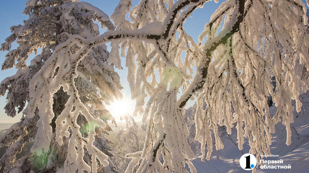 В южноуральские леса вышли новогодние спецпатрули