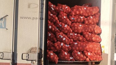 Россельхознадзор запретил ввоз в Челябинскую область 20 тонн лука