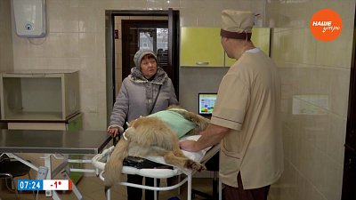 Игры в съедобное-несъедобное в рубрике «Усы, лапы и хвост»