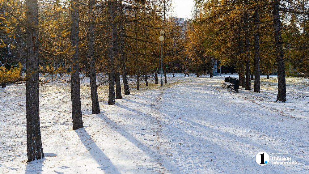 Спокойную погоду прогнозируют синоптики в Челябинской области 21 ноября