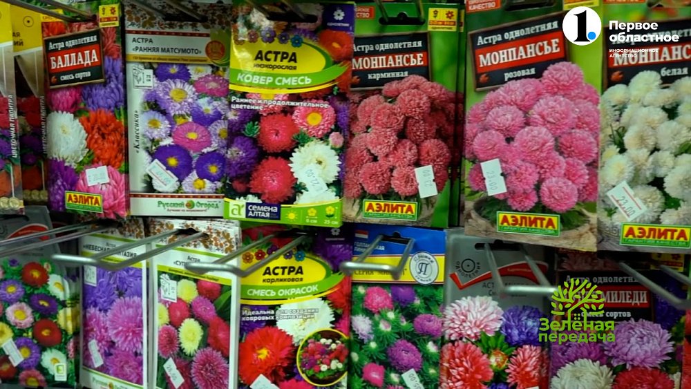 Зацветут весной, но посеять нужно сейчас