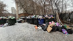 Главе Челябинска рассказали про крыс на контейнерных площадках в центре города