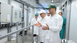 Челябинская область закроет зависимость от импортной генетики в птицеводстве