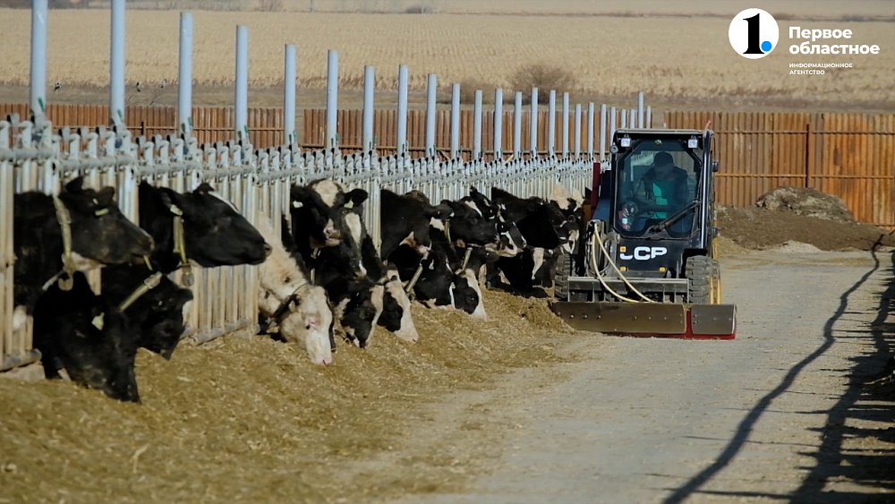 Династия фермеров: три поколения Карсакбаевых развивают сельское хозяйство в Агаповском районе