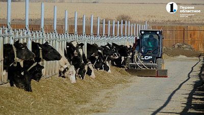 Династия фермеров: три поколения Карсакбаевых развивают сельское хозяйство в Агаповском районе