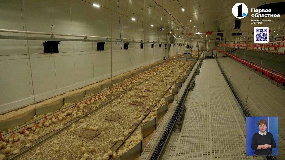 Алексей Текслер работает в Кизильском районе