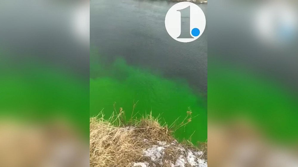 В Челябинске вода в реке Миасс окрасилась в зеленый цвет