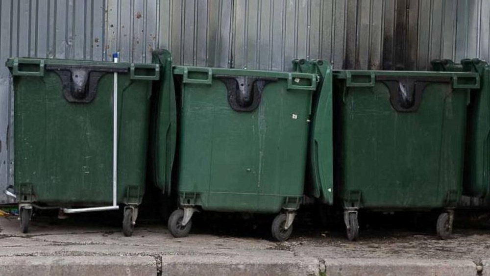 На мусорке в Пласте нашли тело новорожденного