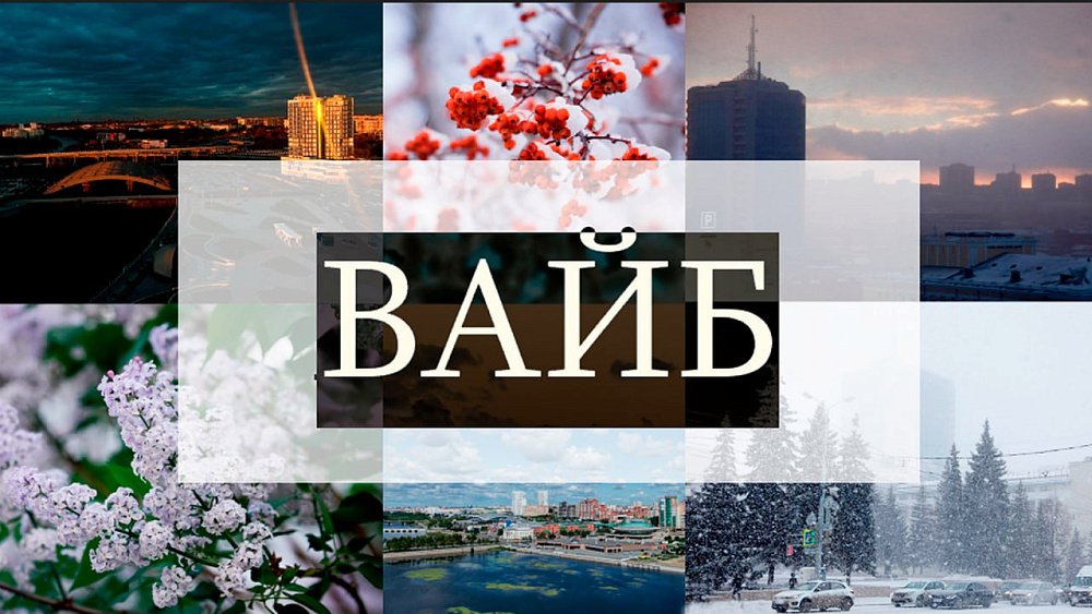 Слово «вайб» стало самым упоминаемым в интернете в 2024 году