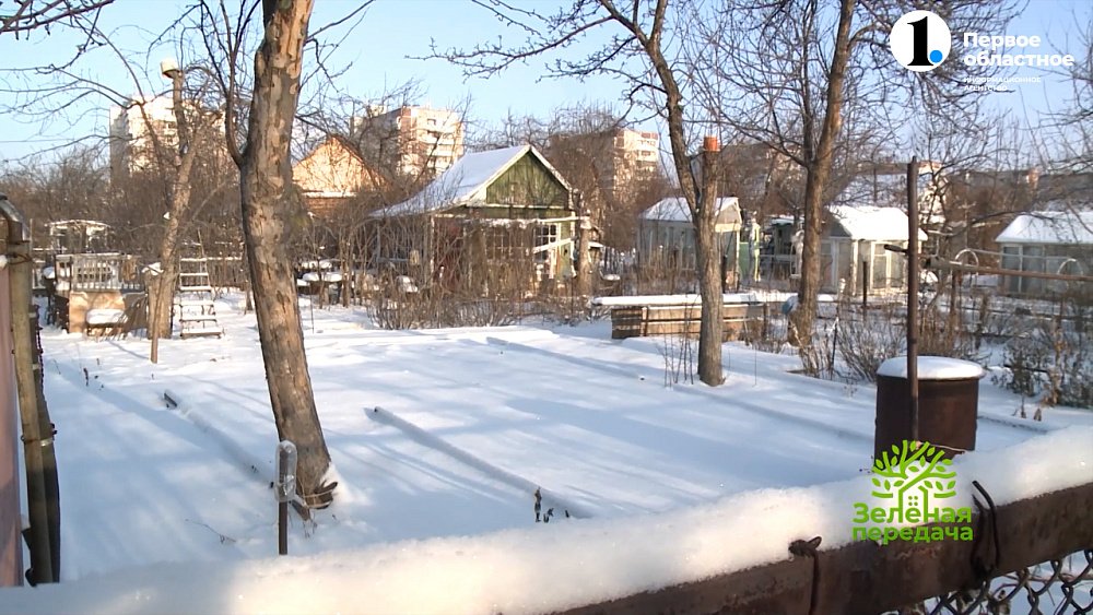 Чем опасна погода ноября 2024 года