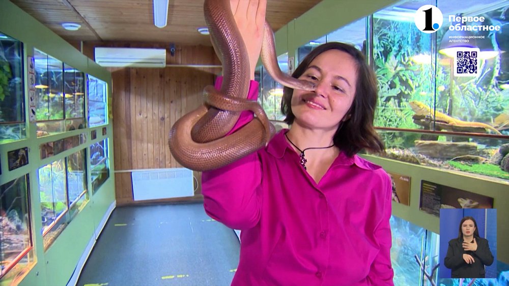 Челябинцев убеждают не дарить змей на Новый год