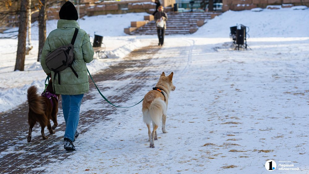 До −10°C похолодает в Челябинской области в первую неделю декабря