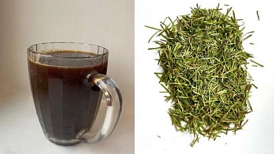 Ученые ЮУрГУ разработали квас, стимулирующий иммунитет