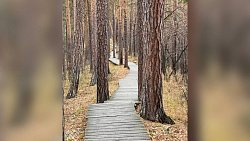 От этих фото захочется путешествовать: жительница Чебаркуля снимает красоты Южного Урала