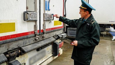 В Челябинской области объемы агроэкспорта выросли на 21%