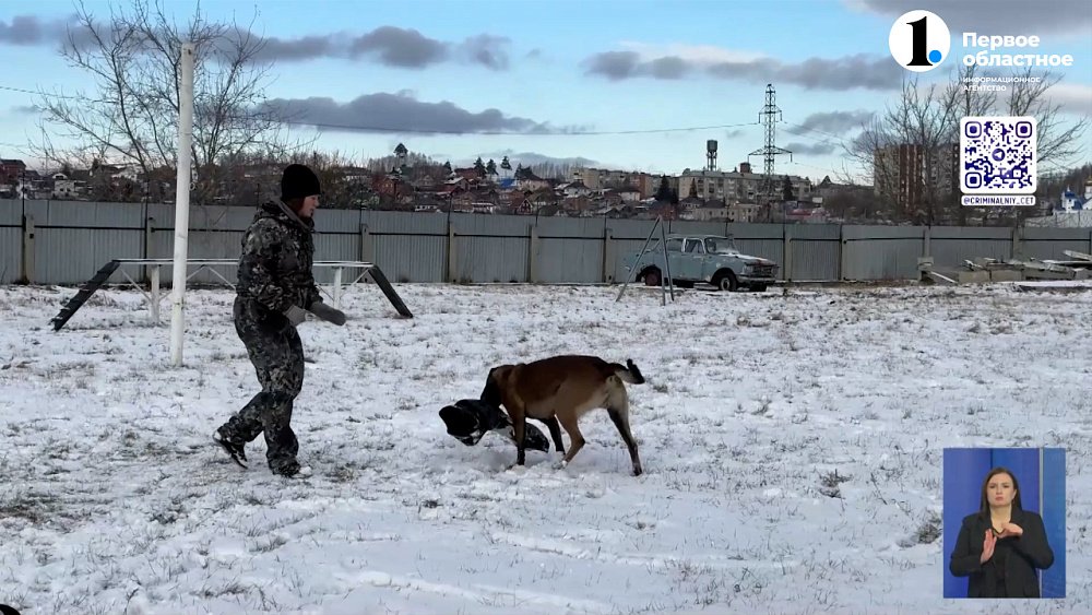 Юные миасцы побывали в гостях у кинологической службы Отдела МВД