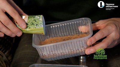 Микрозелень — посев на джутовый коврик