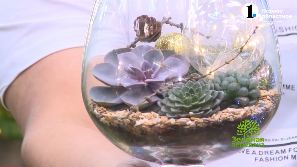 Оригинальный подарок на Новый год — флорариум