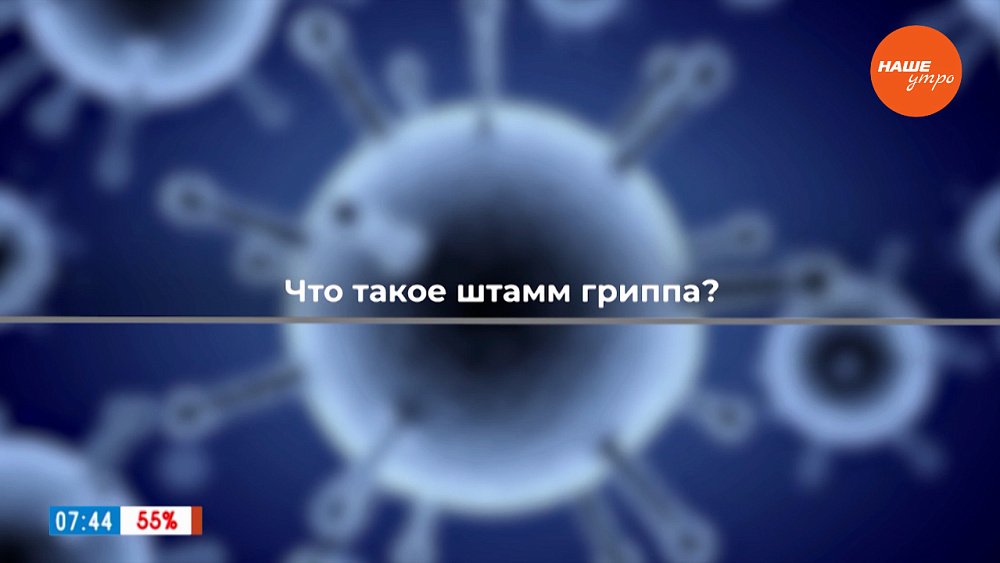 Что такое штамм гриппа? — в рубрике «ПереГРИППуем»