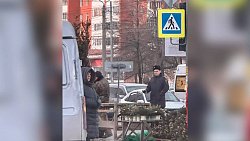 Челябинцам начали продавать нелегальные елки