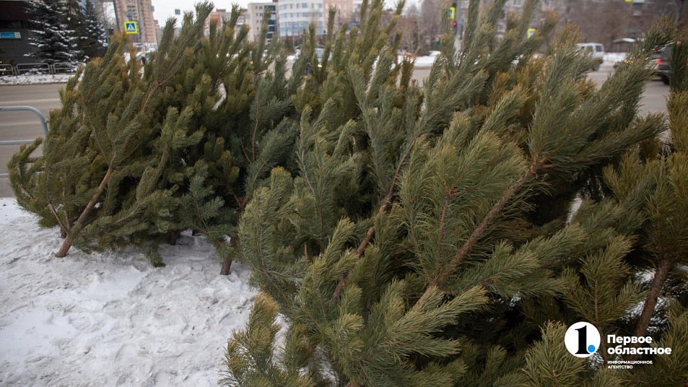 Полиция в Челябинске начала проверять елочные базары