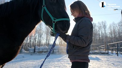 Зооволонтер из Челябинска спасает лошадей