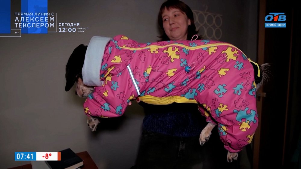 Зимняя одежда для собак в рубрике «Усы, лапы и хвост»