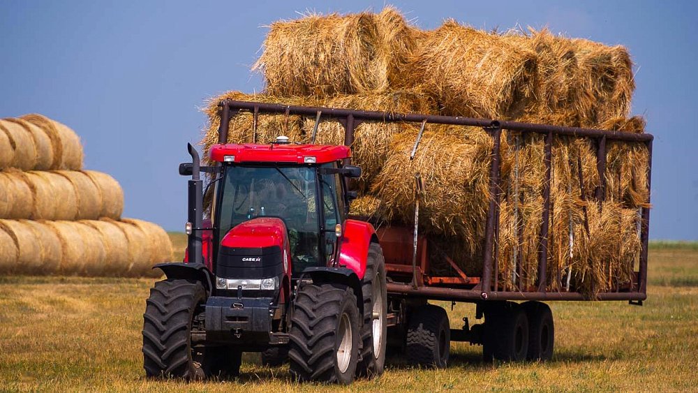 Многодетной семье из Нагайбакского района помогут купить трактор