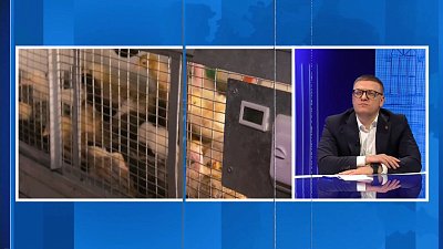 Подросток из Кыштыма обратился за помощью к Алексею Текслеру