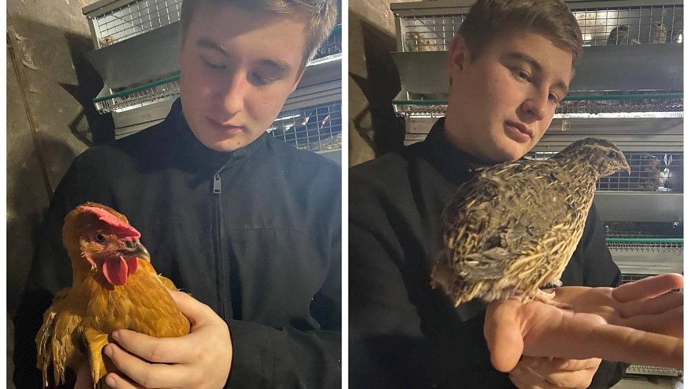 Юному птицеводу из Кыштыма помогут сделать заявку на грант