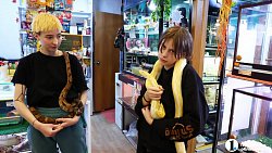 «Их нужно не бояться, а ценить»: челябинцы открыли кафе со змеями и лягушками