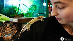 «Их нужно не бояться, а ценить»: челябинцы открыли кафе со змеями и лягушками