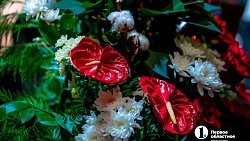 Концерт «Торжество классики» в Челябинске дал старт предновогодним торжествам в Челябинске