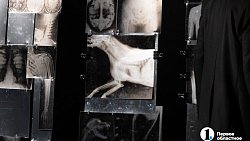 «У вас сердце собачье, товарищ Шариков»: в Челябинской драме ставят Булгакова