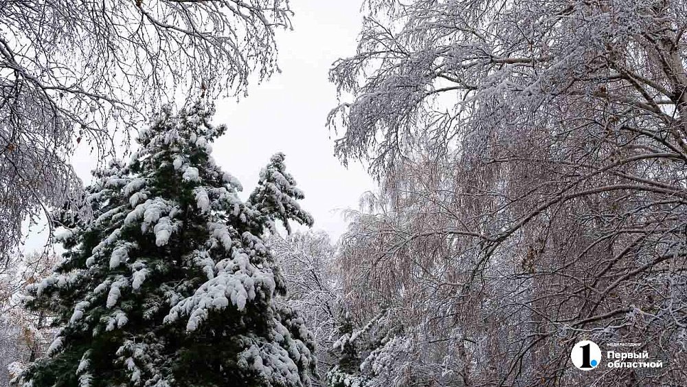 Теплая и снежная погода вернется в Челябинскую область на предпоследней неделе декабря