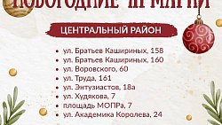 Мэрия назвала адреса легальных елочных базаров в Челябинске