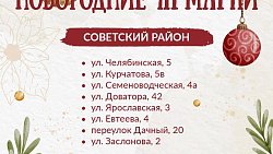 Мэрия назвала адреса легальных елочных базаров в Челябинске