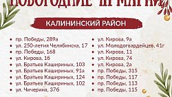 Мэрия назвала адреса легальных елочных базаров в Челябинске