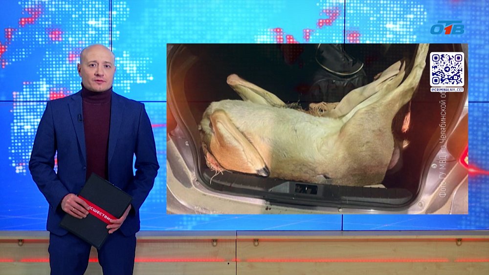 В Каслинском районе поймали водителя с тушей косули