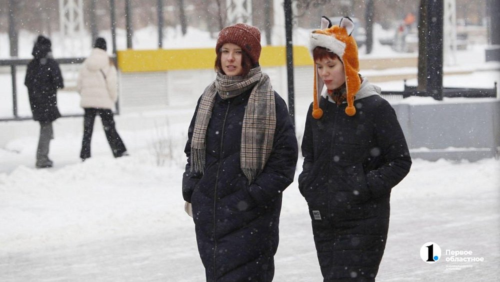 В Челябинской области сохранится небольшой снег 18 декабря