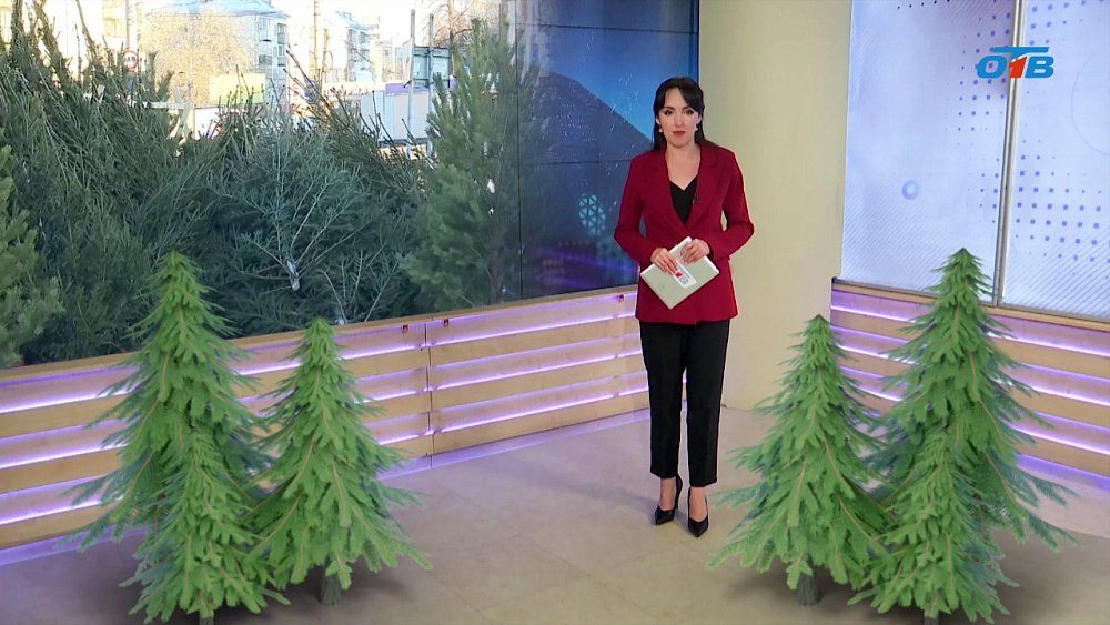 Какая елка лучше: живая или искусственная?