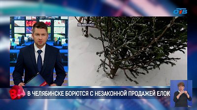 В Челябинске объявили войну «черным» лесорубам