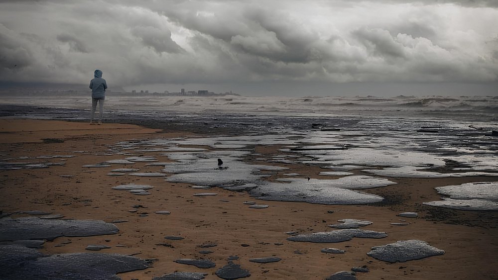 Владимир Путин назвал разлив нефтепродуктов в Черном море экологической бедой